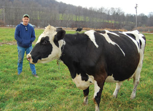 Farmer with cow